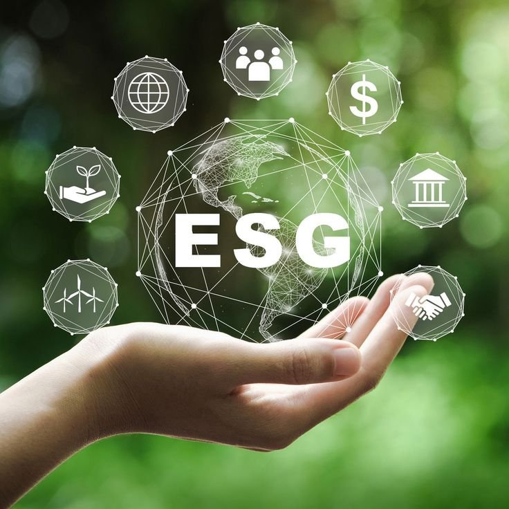 How ESG Advisory Services Help Businesses Achieve Sustainability Goals